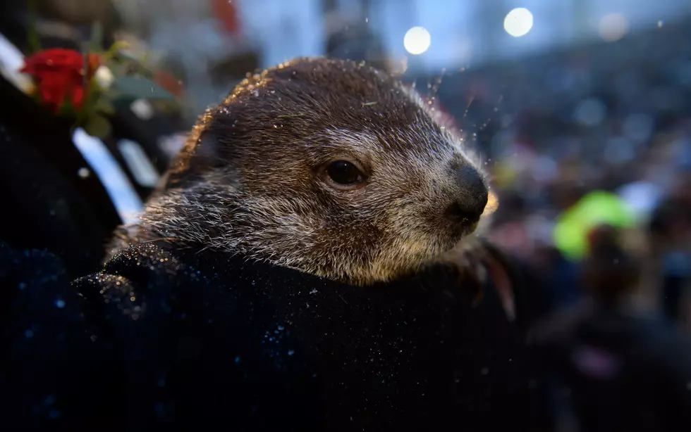 Groundhog’s Day 2020, Will West MI See An Early Spring This Year?