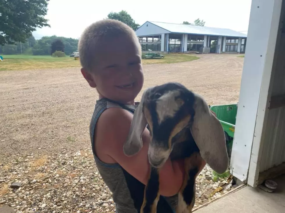 Stolen Goats Returned, Teens Agree To Work Off Punishment
