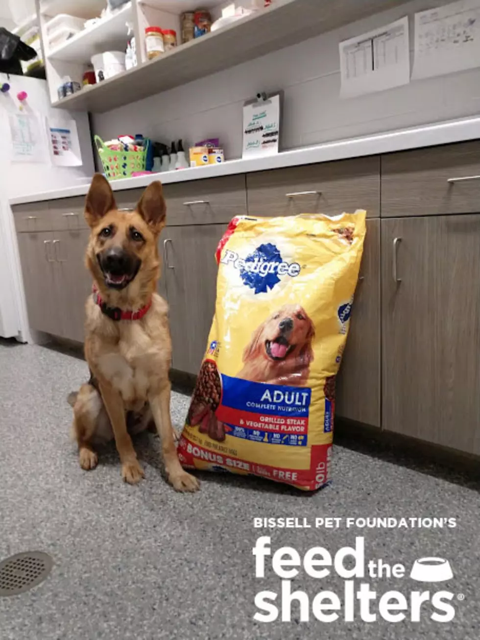 Bissell Pet Foundation Helps Feed Shelters in 9 States