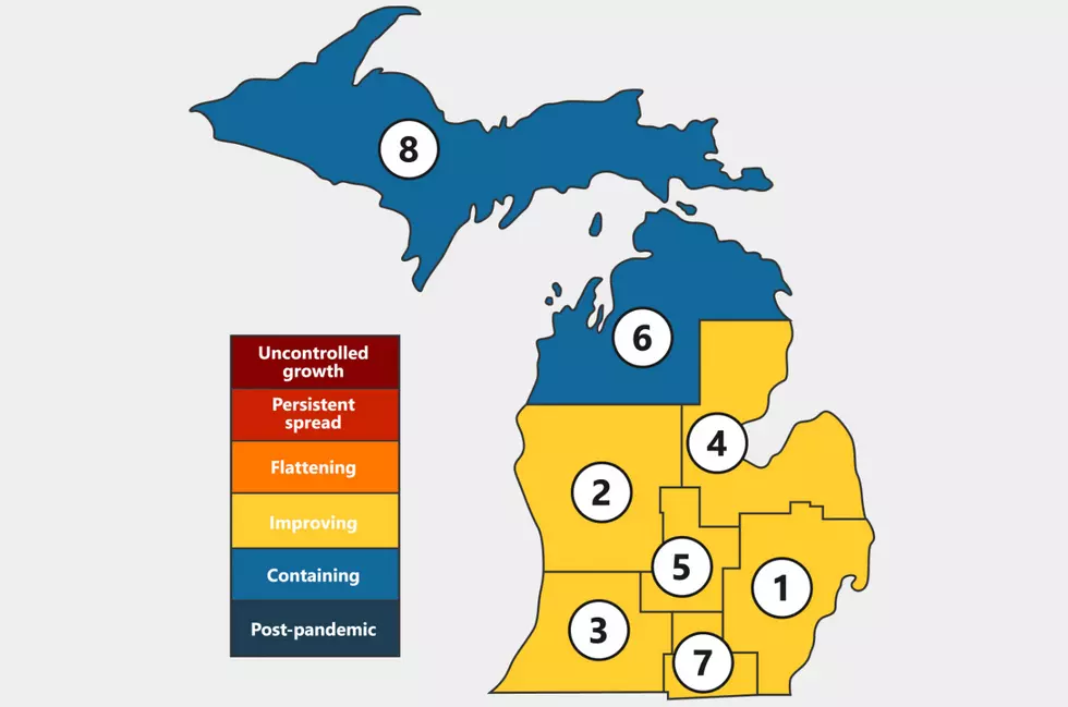 Check Out Michigan’s List Of COVID-19 Restrictions By Region