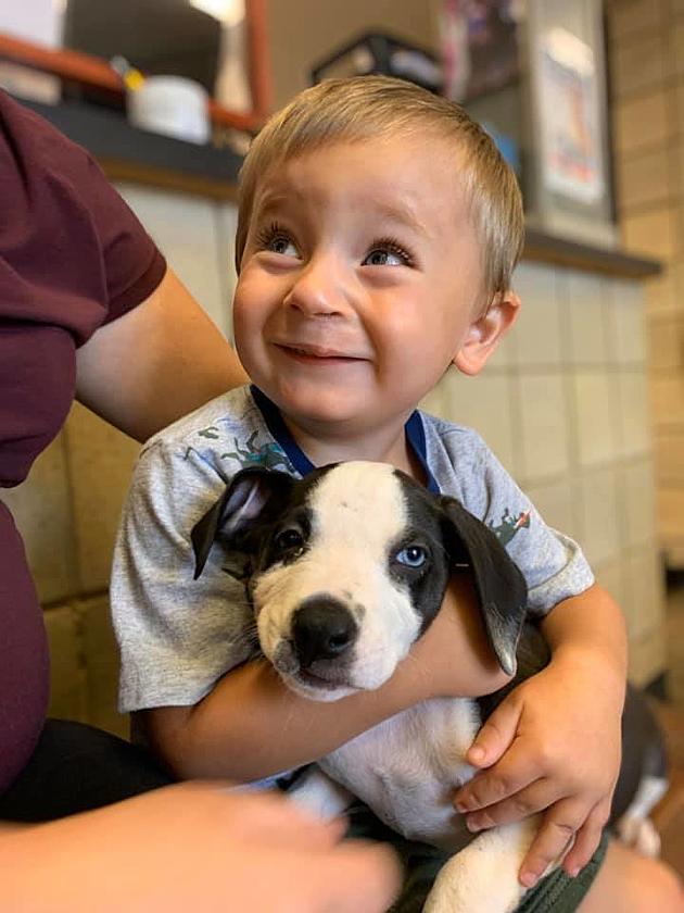 Boy With Cleft Lip Adopts Puppy With Cleft Lip From Jackson Animal Shelter