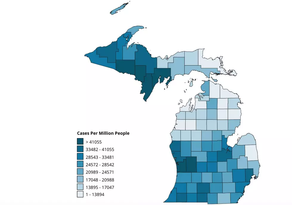 The 10 Michigan Counties With Highest COVID-19 Cases Per Million