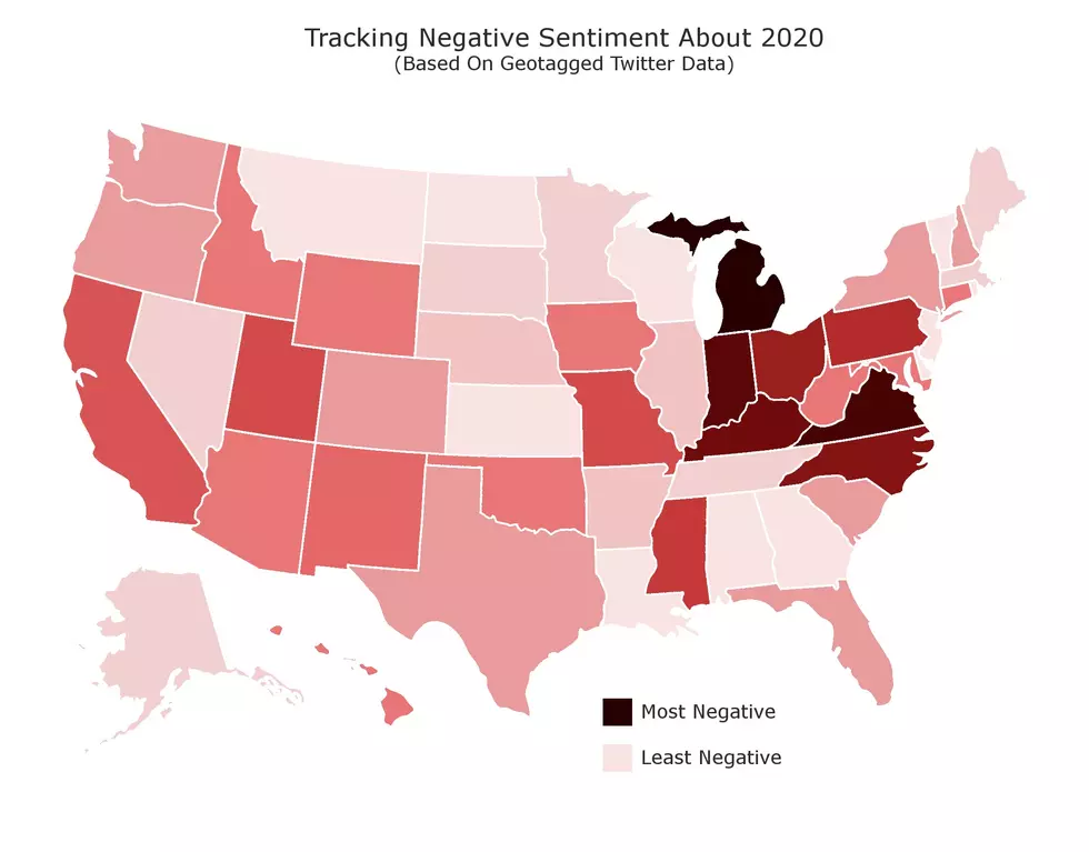 Michigan As a Whole Was Pretty Negative About 2020