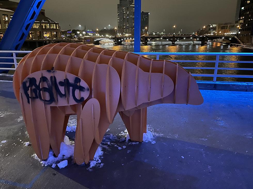 Why Can’t West Michigan Have Anything Nice? Recent Art Installation Hit By Vandals
