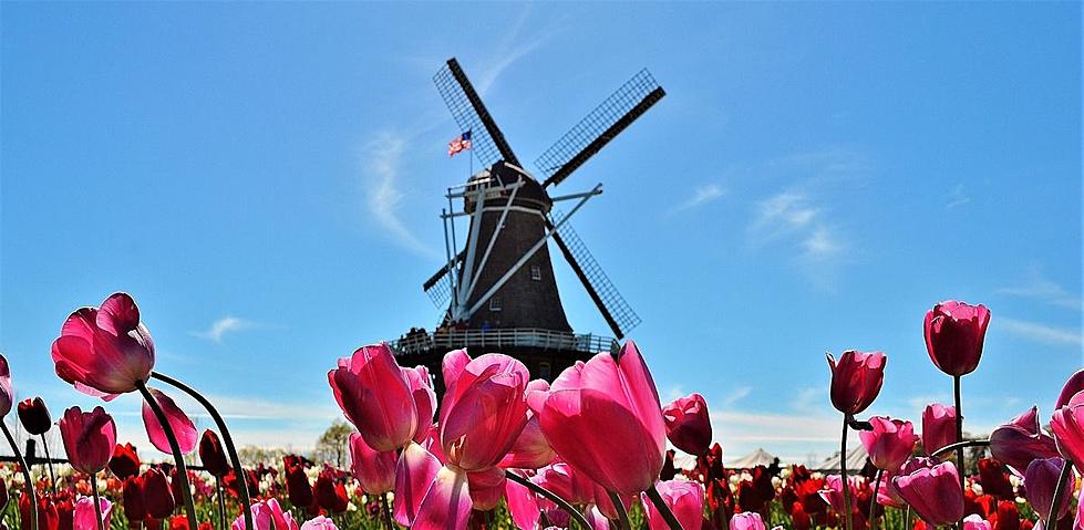 Tulip Time Announces Two New Events for Their 2024 Festival