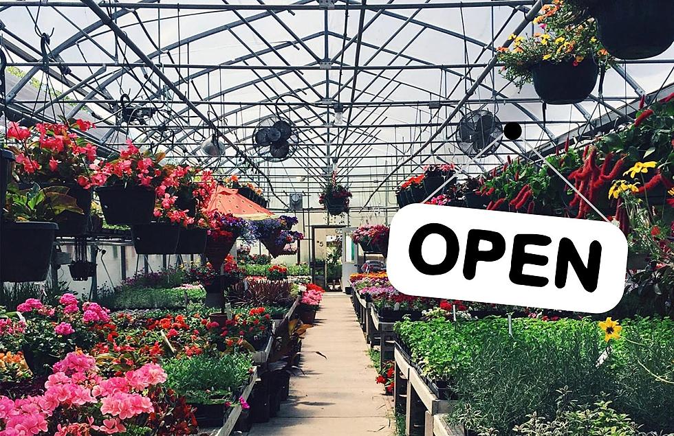 Spring Has Sprung: When Do West Michigan’s Greenhouses Open?