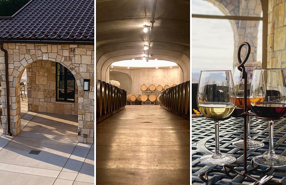 One of America’s Most Instagrammable Wineries Is Located In Michigan