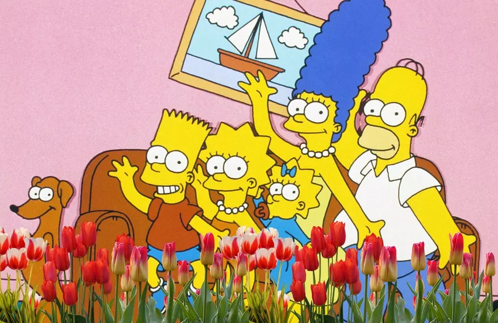 The Simpsons Love Tulip Time: Another Reference To The Holland, Michigan Festival Coming This Weekend
