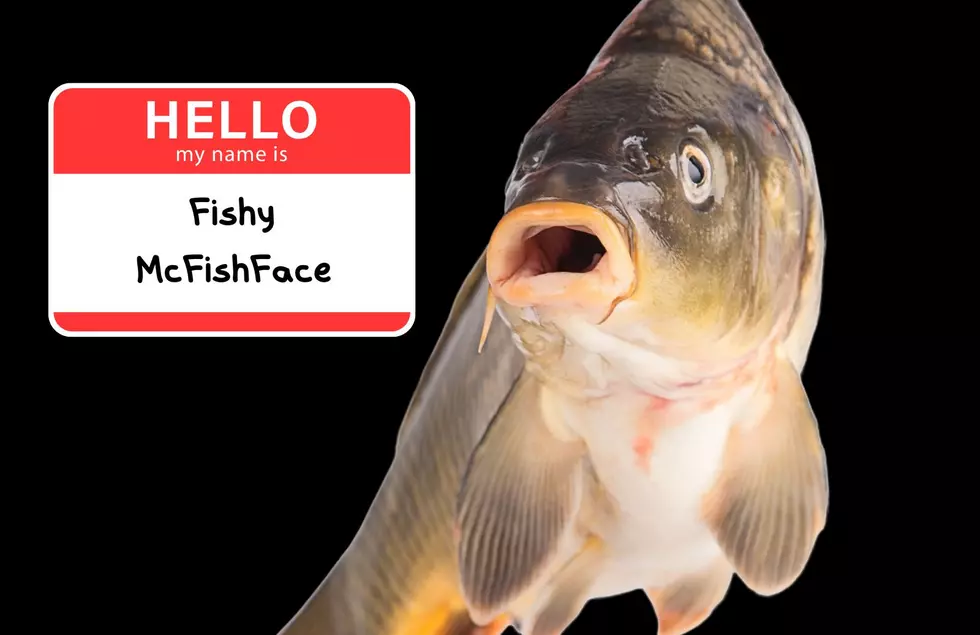 That’s Not My Name! This Is Why The DNR Is Renaming Asian Carp