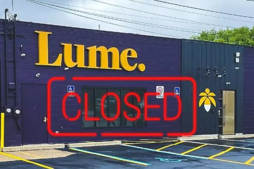 Will There be More Closures After Michigan’s Biggest Weed Company Shuts Down Four Stores?