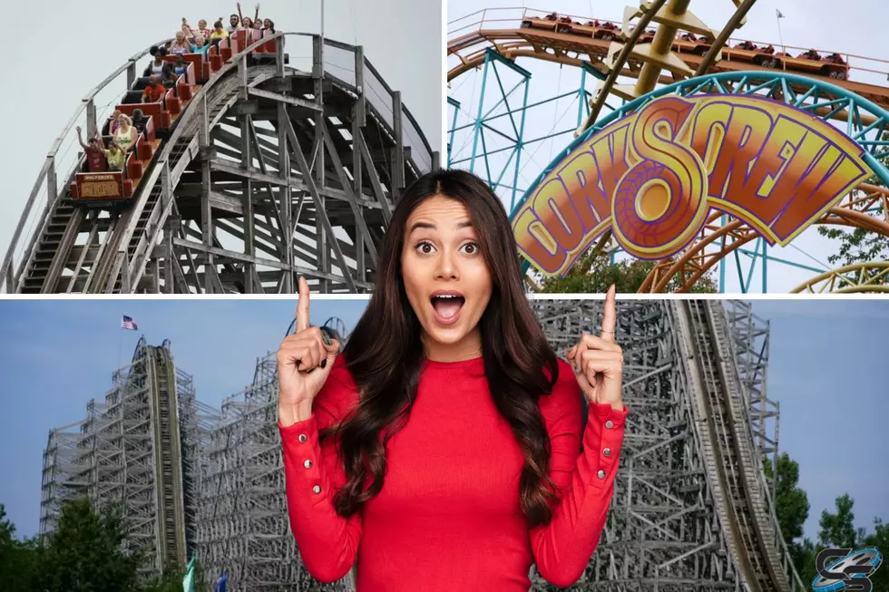 How Old Are The Rollercoasters At Michigan’s Adventure In Muskegon