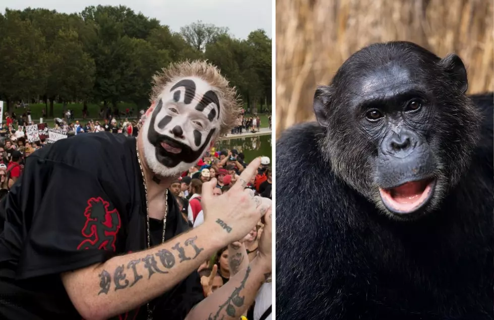 Wait, Why does Violent J From Insane Clown Posse Want To Borrow a Monkey?
