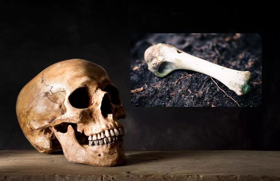 Is That Legal? New West Michigan Online Store Is Selling Human Bones