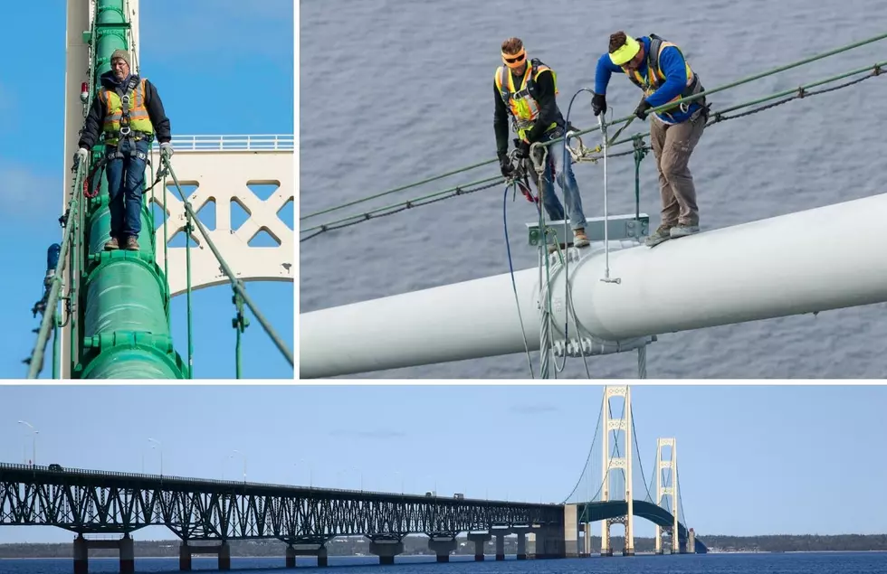 This Job Has The Best View In Michigan&#8230; Unless You&#8217;re Scared Of Heights