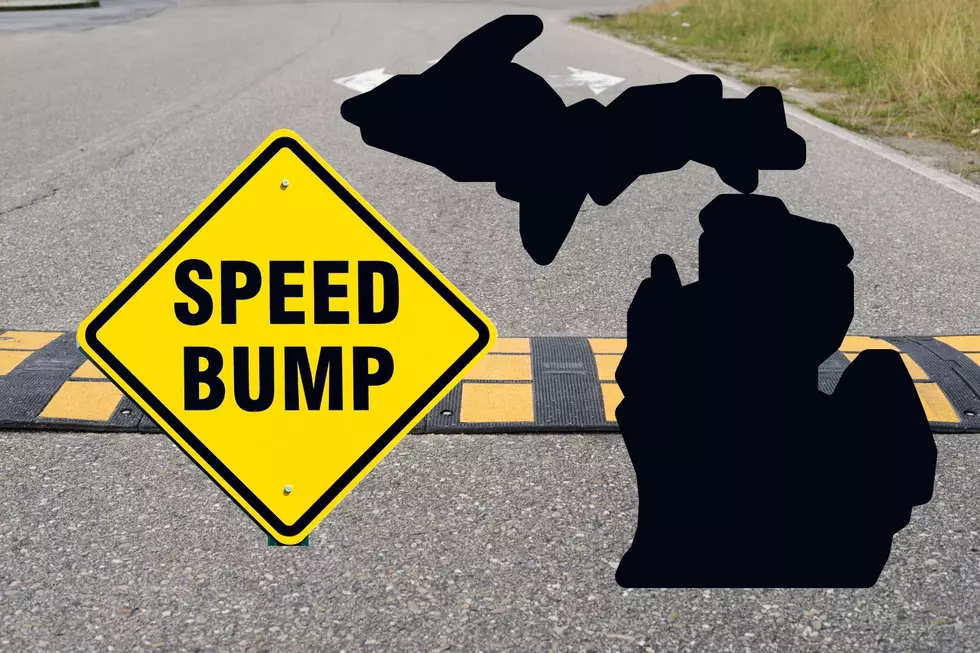How To Get A Speed Bump In Your Neighborhood In Michigan