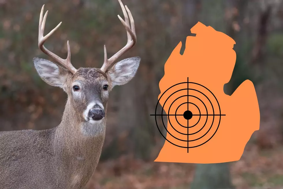 West Michigan Sight-In Days for 2022 Firearm Deer Season