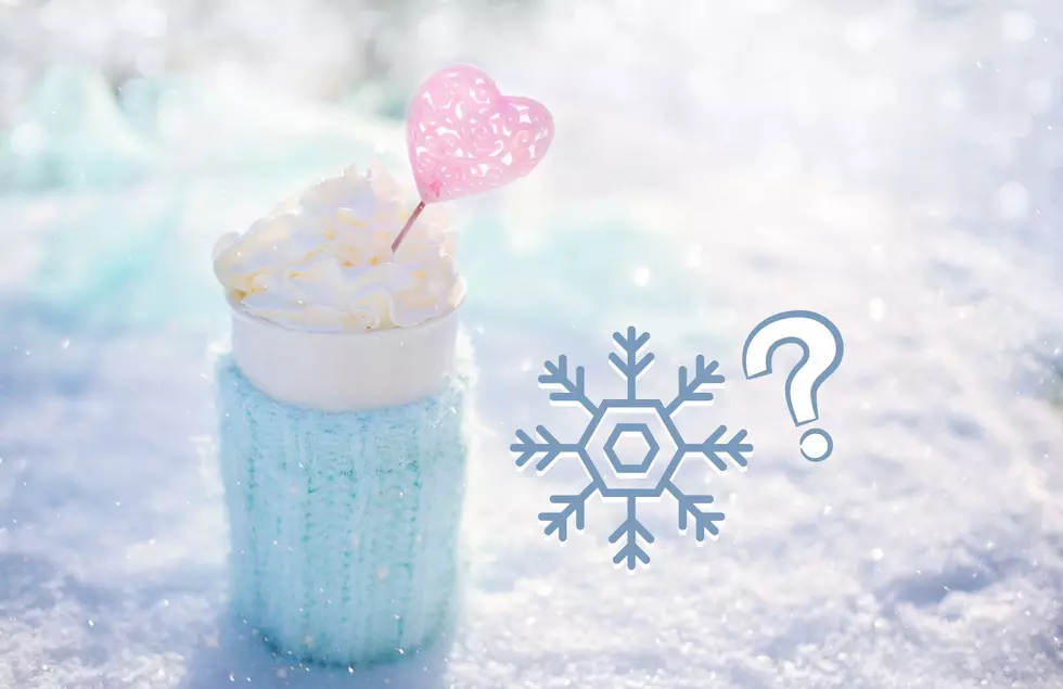 Can You Make Snow Ice Cream With Michigan Snow?