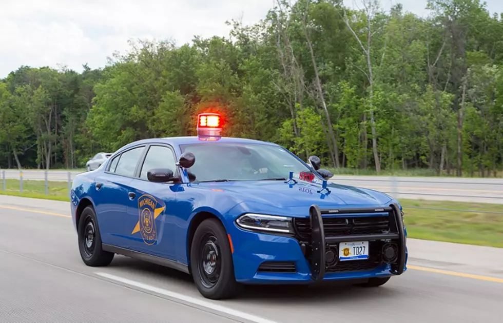 How Did Michigan State Police Cruisers Get The Nickname “Blue Goose”?