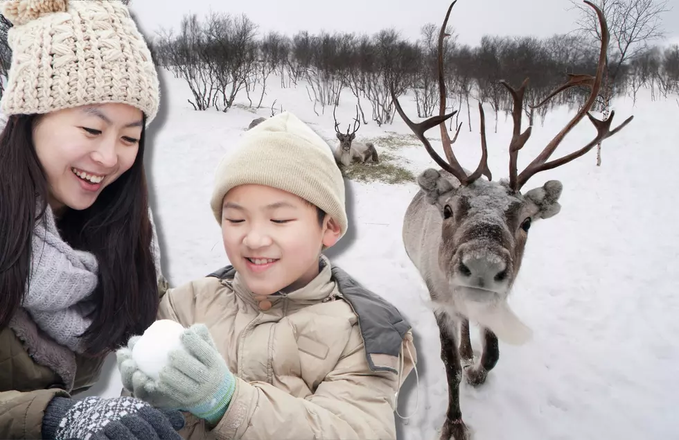 Have You Taken Your Family To Visit These West Michigan Reindeer Farms?