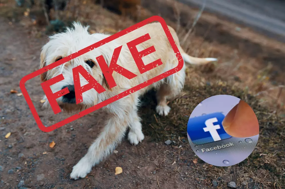 Michigan Facebook Users, Stop Sharing These Fake Scam Posts