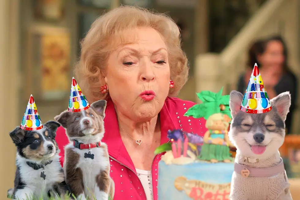 West Olive Animal Shelter Celebrating Betty White’s Birthday In A Major Way