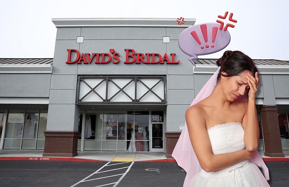 Davids Bridal Files for Bankruptcy, What Does That Mean for Michigan Brides?