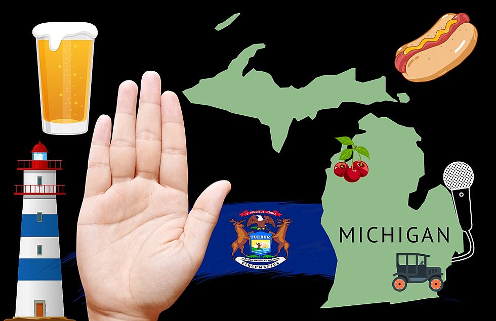 25 Things Michigan Is Known And Famous For