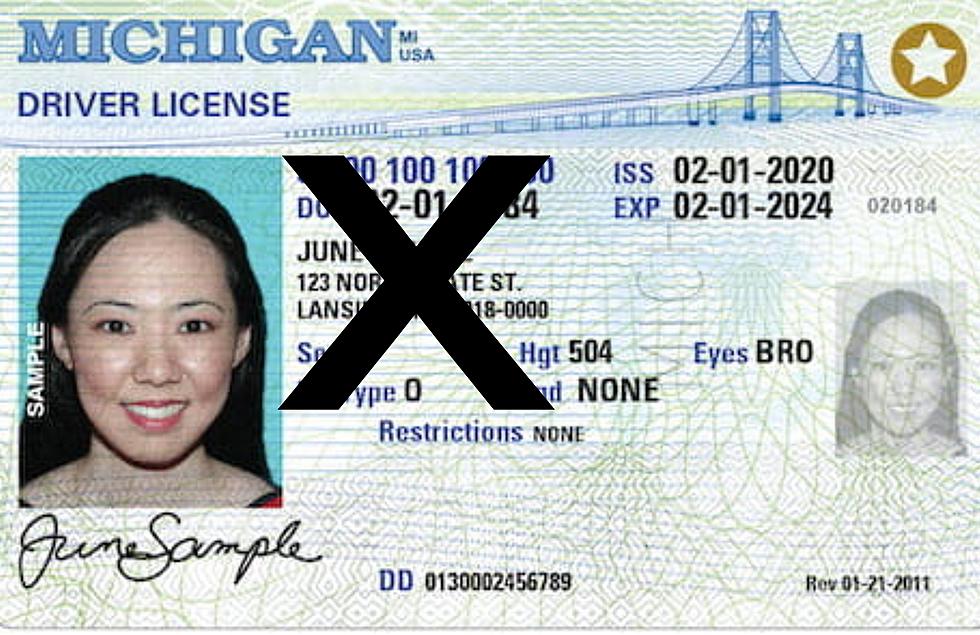 ‘X’ Is One Of Three Gender Options You Can Pick On Your Michigan Drivers License