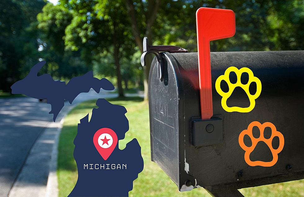 Michigan! If You See Paw Prints on Your Mailbox You Should Leave Them