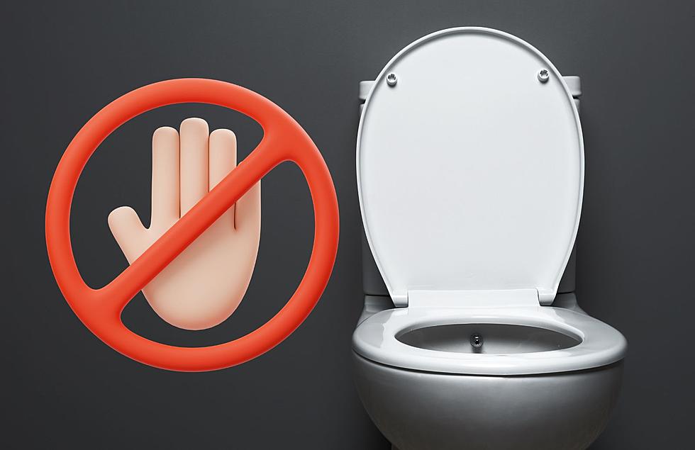 10 Things You Shouldn’t Flush Down The Toilet In Michigan
