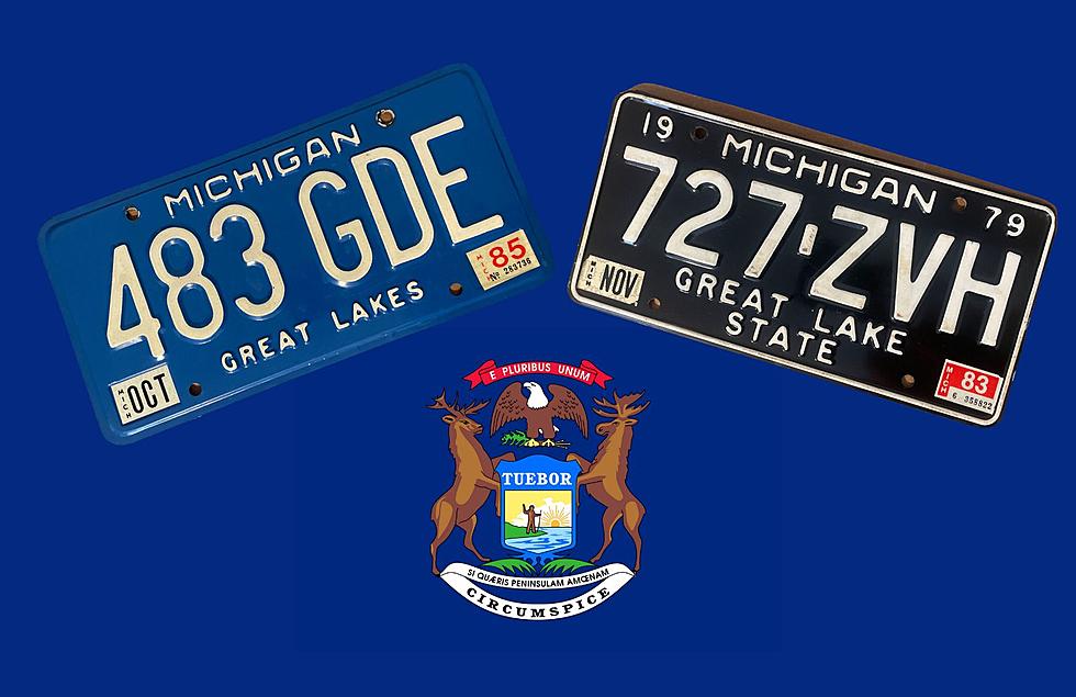 These 2 Retro License Plates Might Be Seen In Michigan Soon