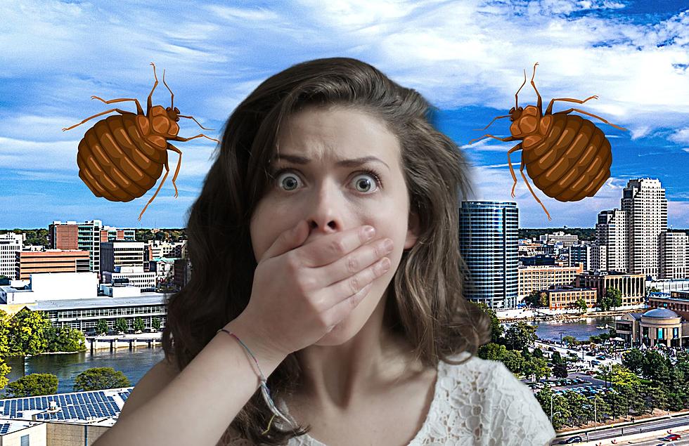 These Two Michigan Cities Are Most Likely To Give You Bed Bugs