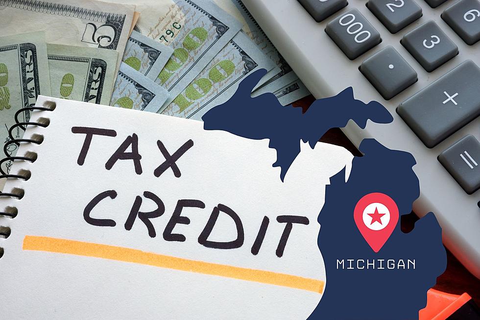 Are You One Of The Michigan Families That Are About To Get A Big Check In The Mail?