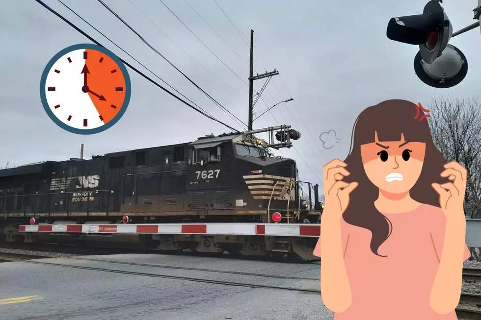 Here&#8217;s How Long Trains Can Legally Make You Wait In Michigan