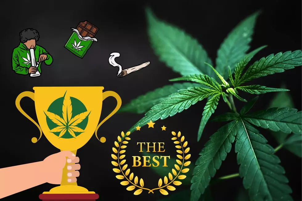 New Weed Competition Coming To Michigan Needs Your Help Judging