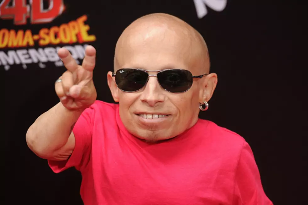 &#8216;Austin Powers&#8217; Star Verne Troyer Penning Tell-All Book