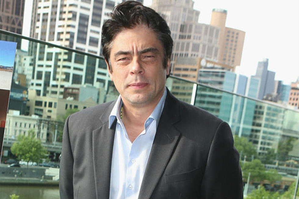 Benicio Del Toro Joins Paul Thomas Anderson’s ‘Inherent Vice’
