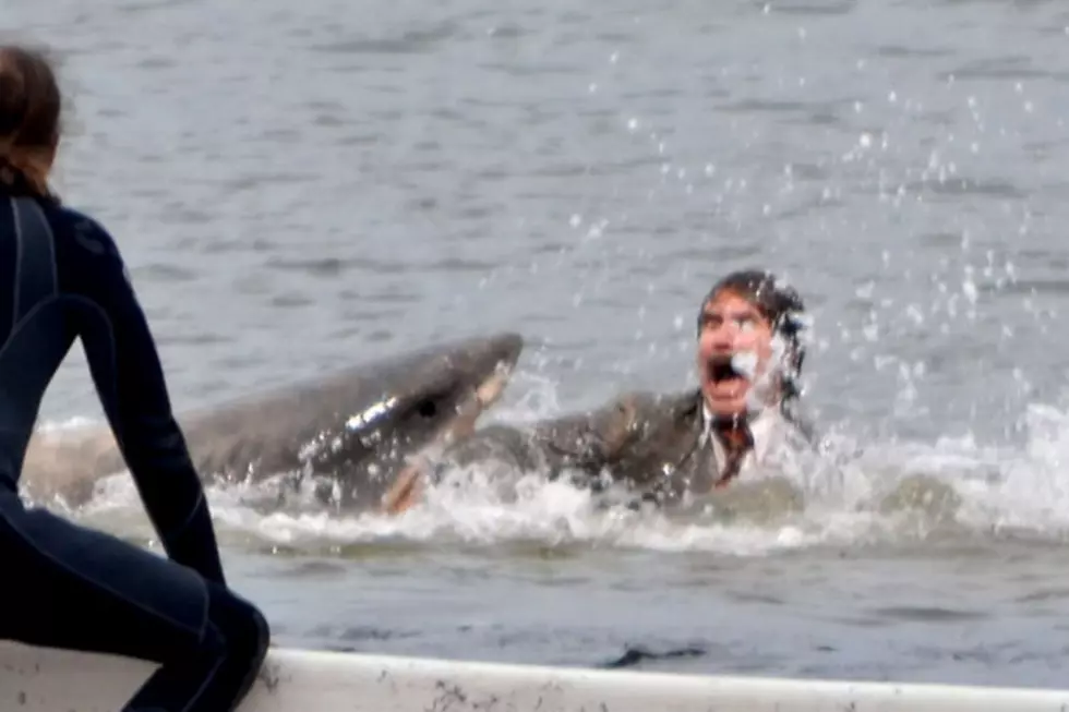 ‘Anchorman 2′ Pics: Ron Burgundy vs. a Shark!