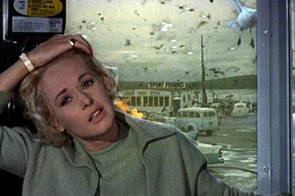Michael Bay’s Completely Unnecessary Remake of ‘The Birds’ Gets a Director