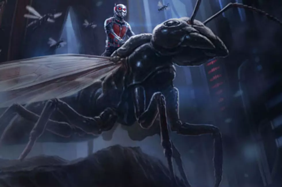 Comic-Con 2014: ‘Ant-Man’ Panel Clears Up Character Confusion