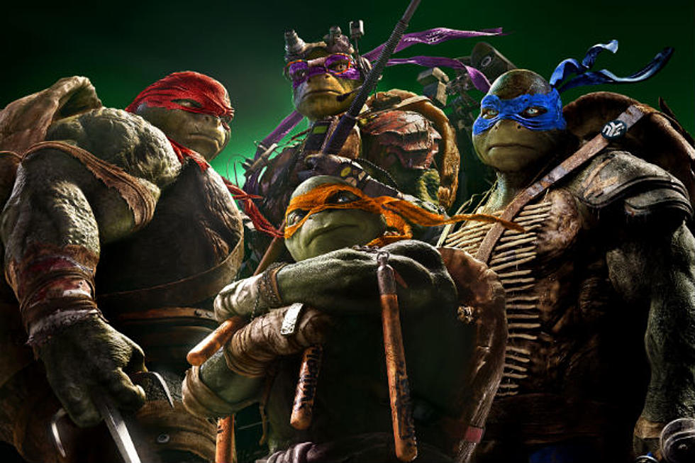 ‘Teenage Mutant Ninja Turtles’ Poster Hangs Tough