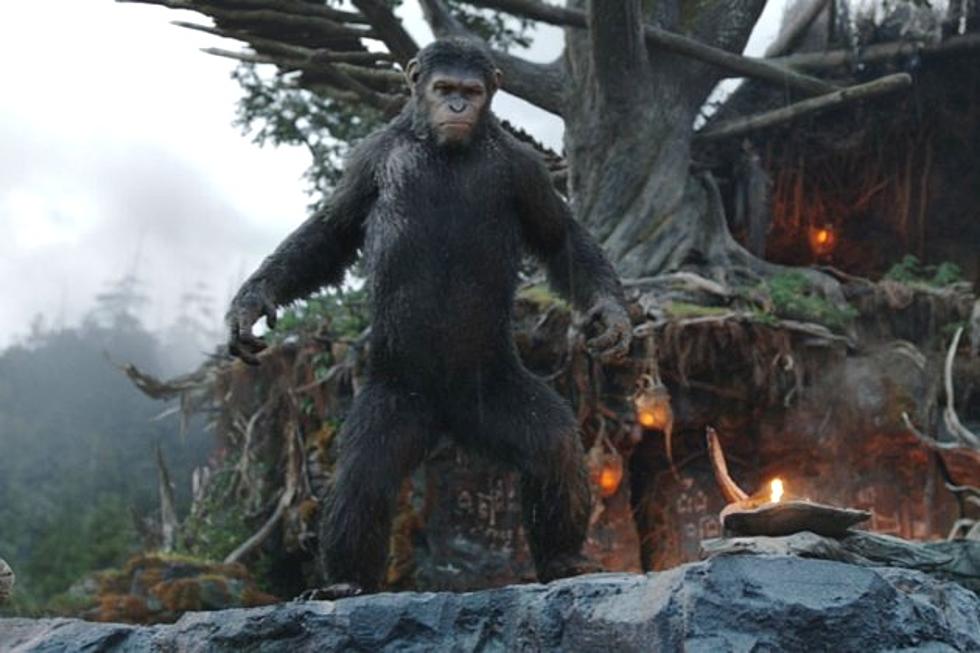 Matt Reeves on Directing &#8216;Dawn of the Planet of the Apes&#8217; and the &#8216;Apes&#8217; Sequel We Almost Got Instead