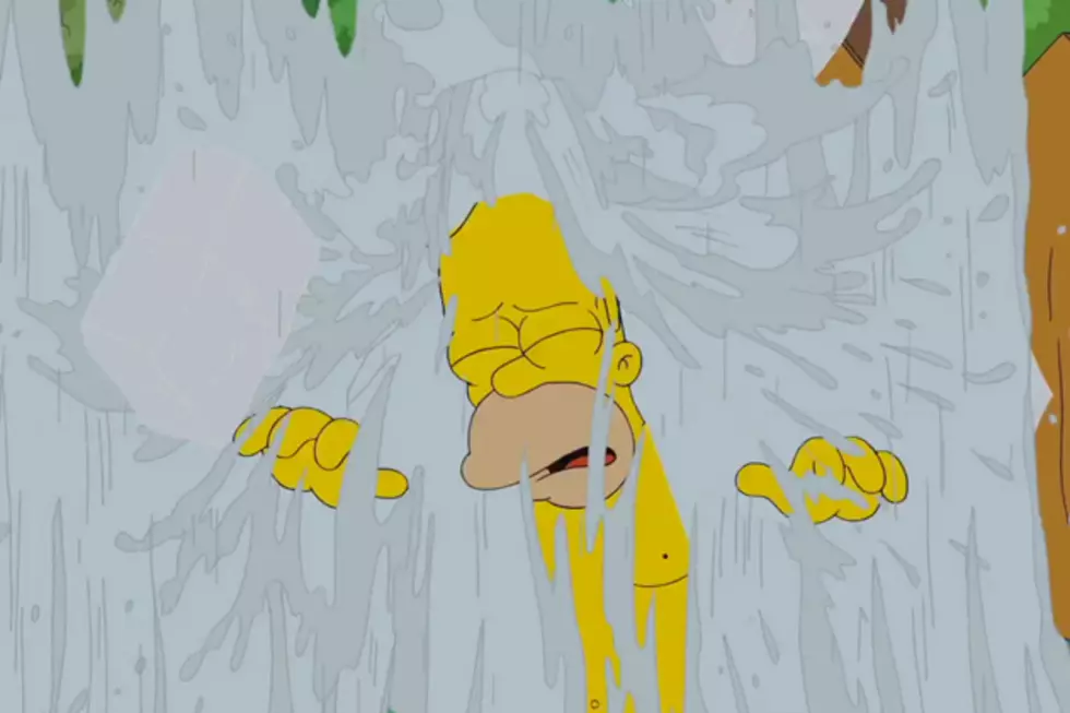 Homer's Ice Bucket Challenge