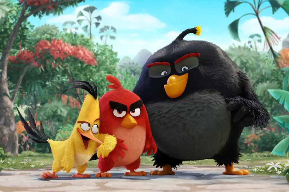 'Angry Birds' Movie First Look and Cast Revealed