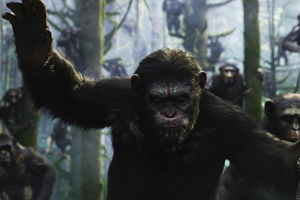 Fox Pushing Andy Serkis For Best Supporting Oscar Nomination
