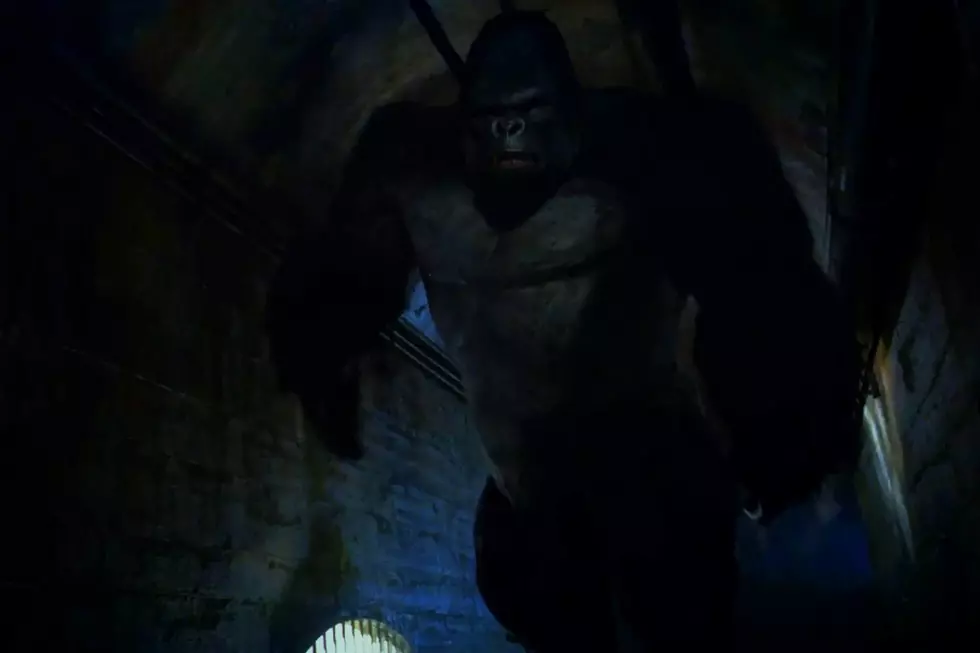 ‘The Flash’: Watch Gorilla Grodd’s Ungodly Appearance From “Fallout!”