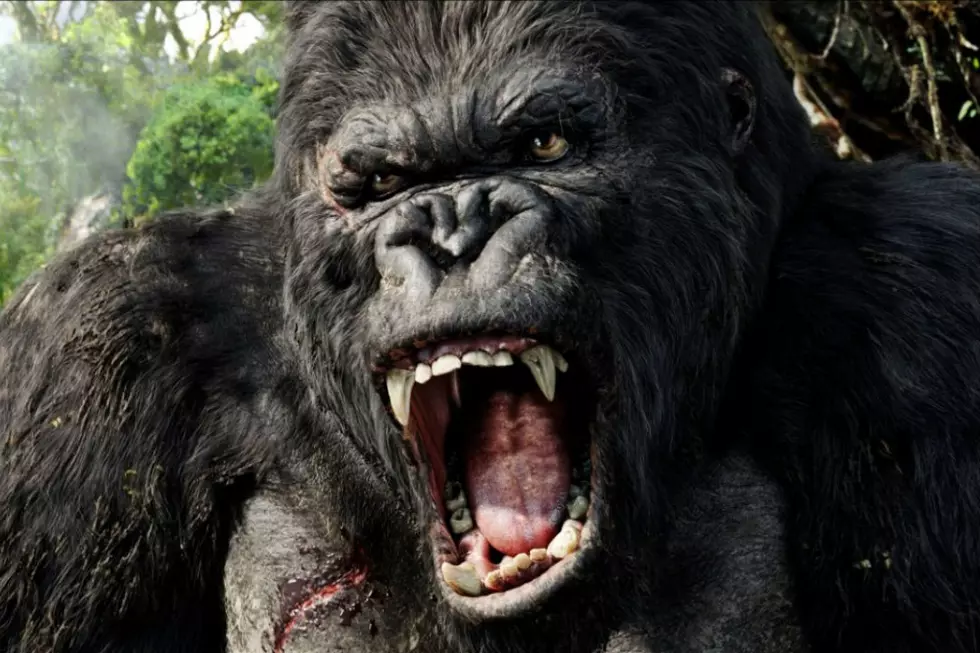 ‘Kong: Skull Island’ Set Photos Reveal Cast, Giant Skull