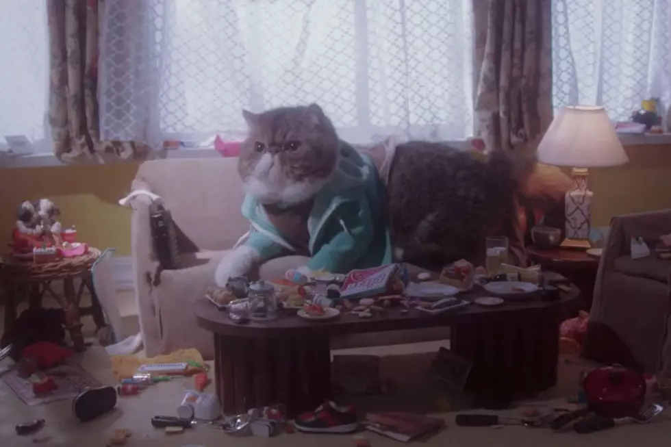 Key and Peele’s ‘Keanu’ Trailer Gets an Adorably Perfect Remake With an All-Cat Cast