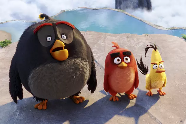 Weekend Box Office Report: ‘The Angry Birds Movie’ Catapults Into First Place