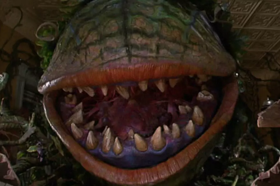 Greg Berlanti Is Directing the ‘Little Shop of Horrors’ Reboot